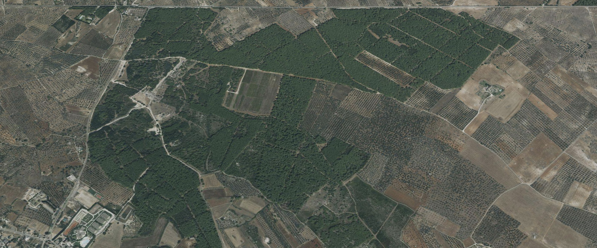 torcito-parco-1