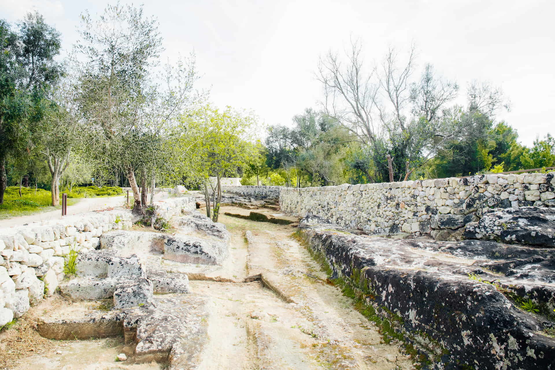 torcito-parco-3